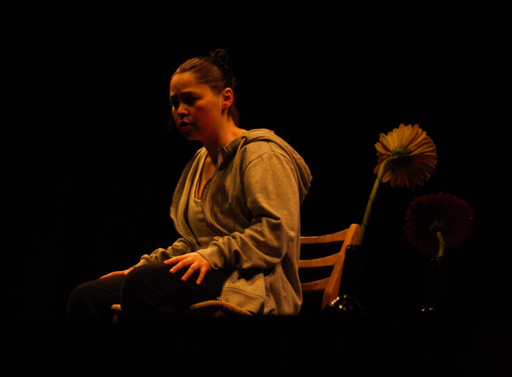 Ní Liomsa an Teach Álainn Seo, Galway Theatre Festival 2024